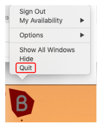 "Quit" is on the dock shortcut menu.